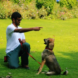 Simpler Minds. Purer Times. Early Growth and Struggle Days!