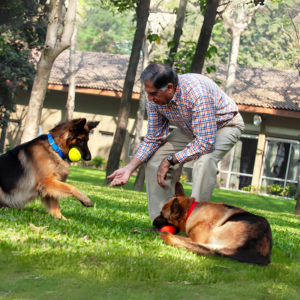 What Ratan Tata Left Behind for India’s Dogs