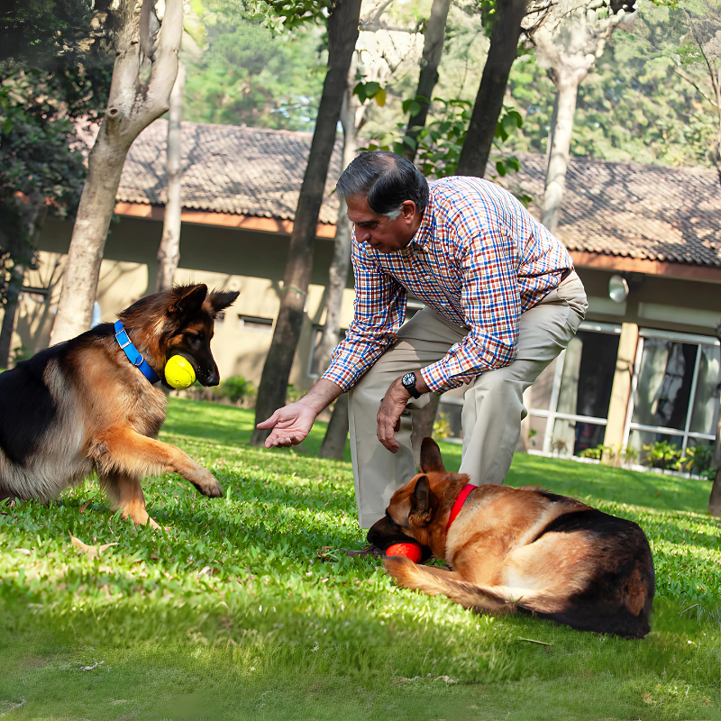 What Ratan Tata Left Behind for India’s Dogs