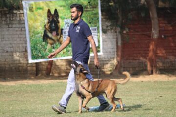 Best Dog Trainer in Bangalore