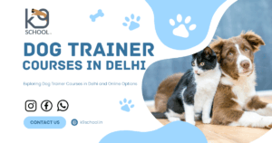 Exploring Dog Trainer Courses in Delhi and Online Options