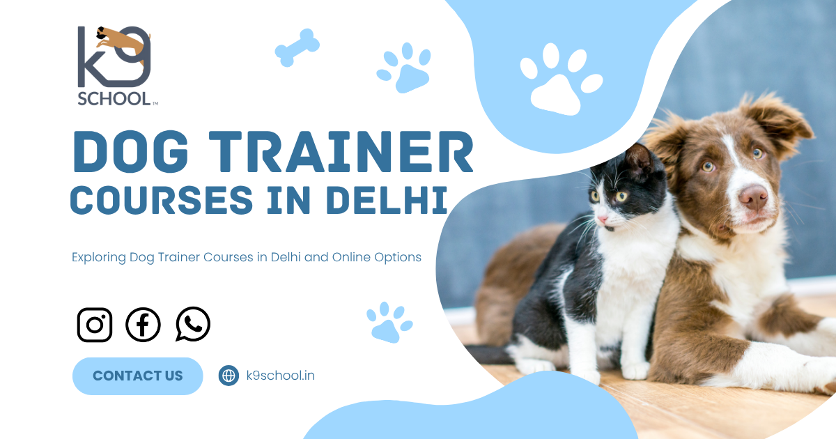 Exploring Dog Trainer Courses in Delhi and Online Options