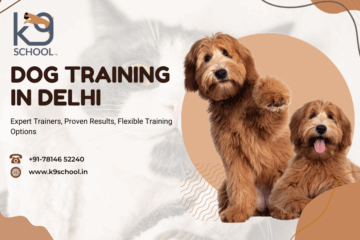 Unleash Your Dog’s Brilliance with K9 School India