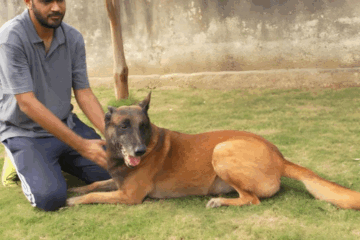 Adnaan Khan, India’s most trusted trainer