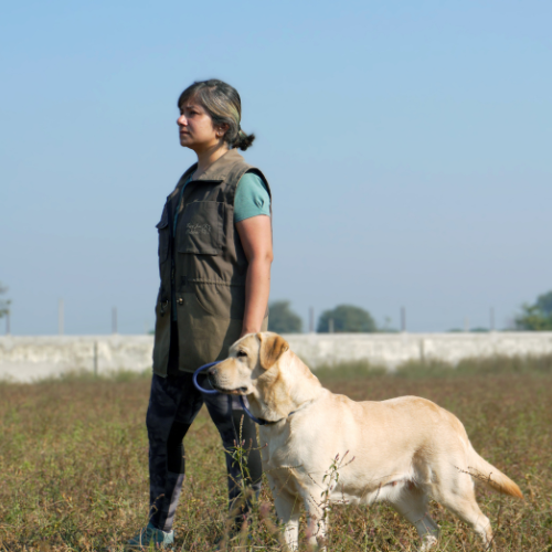 Who Can Trust K9 School?