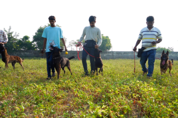 Dog Trainer’s Course