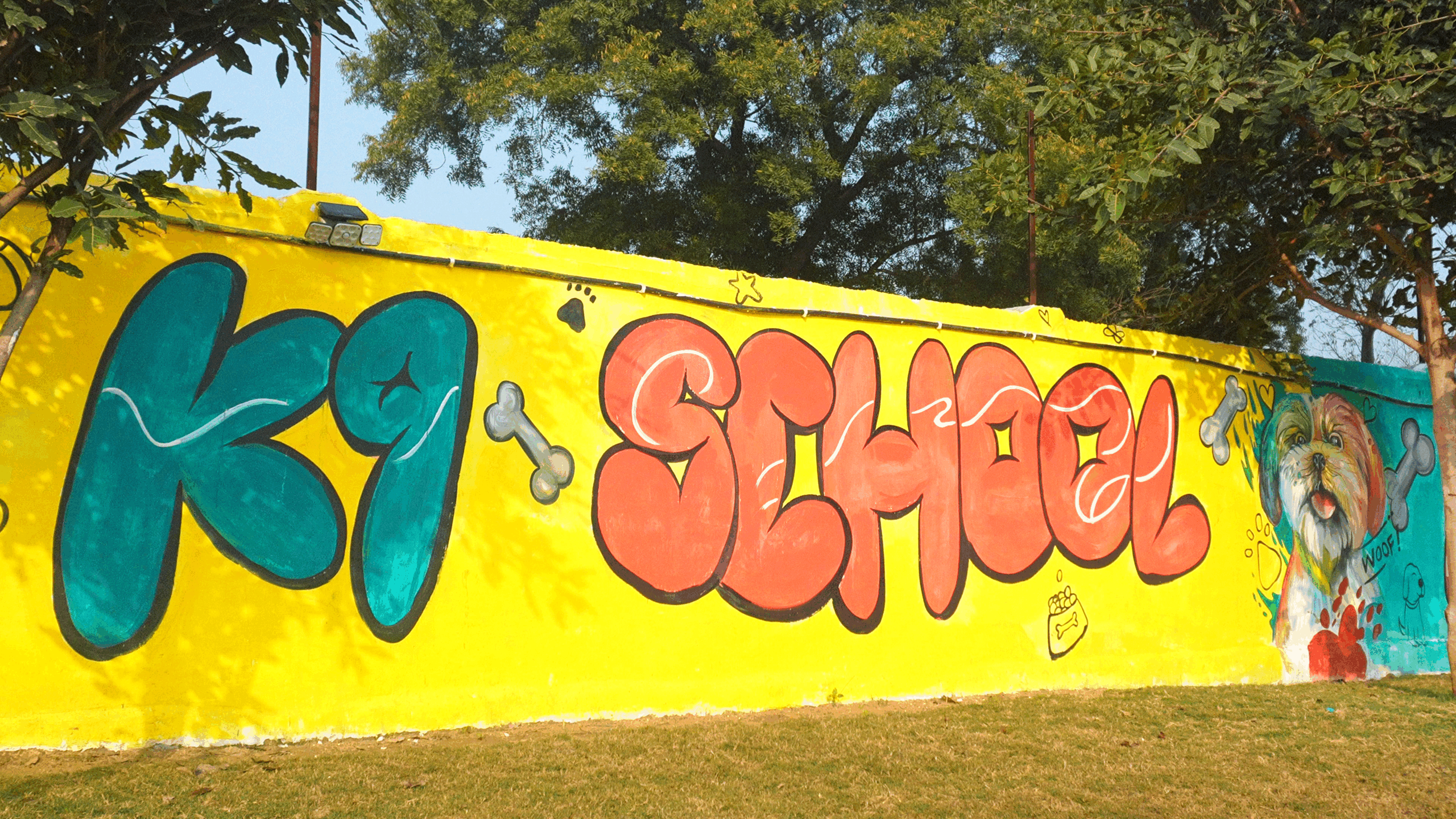 k9school.in - Facility 1