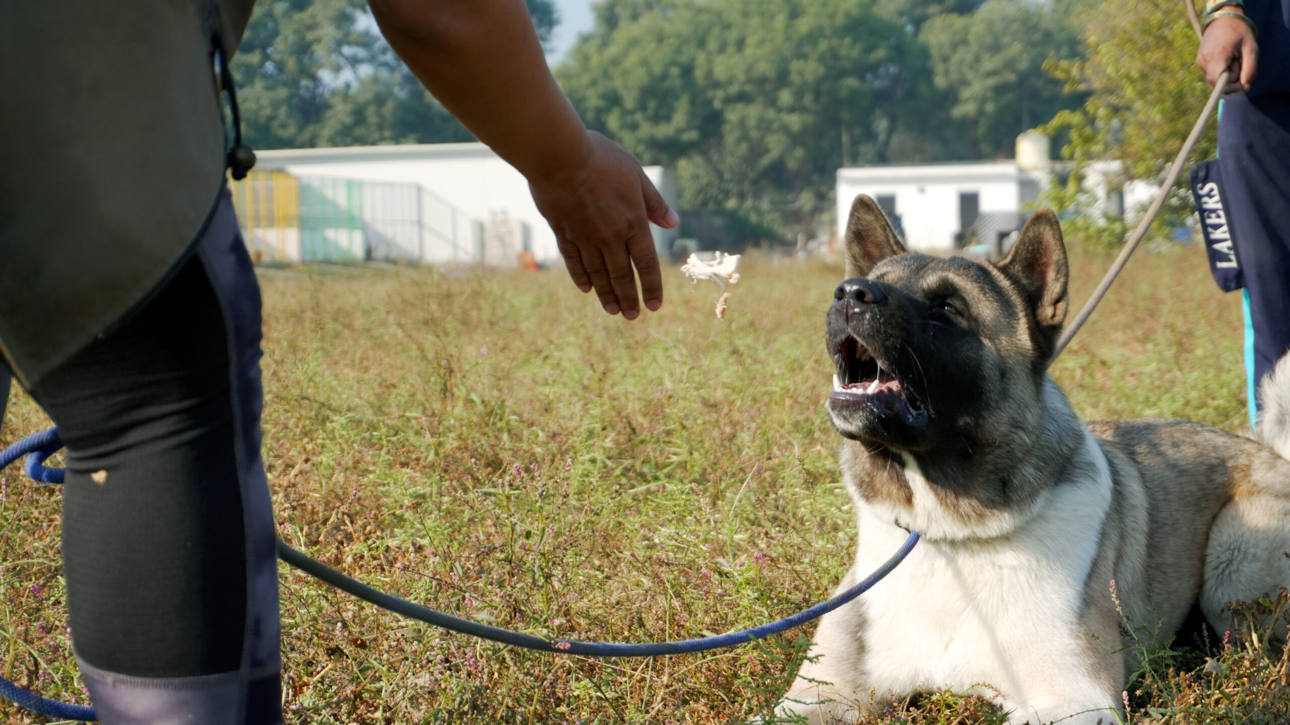 k9school.in - Facility 10