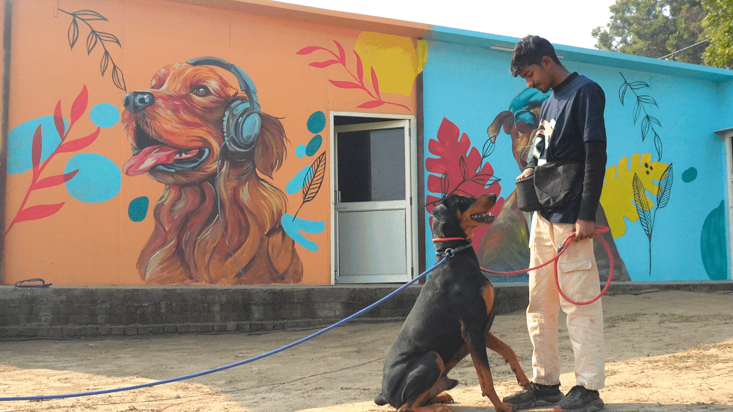 k9school.in - Facility 4