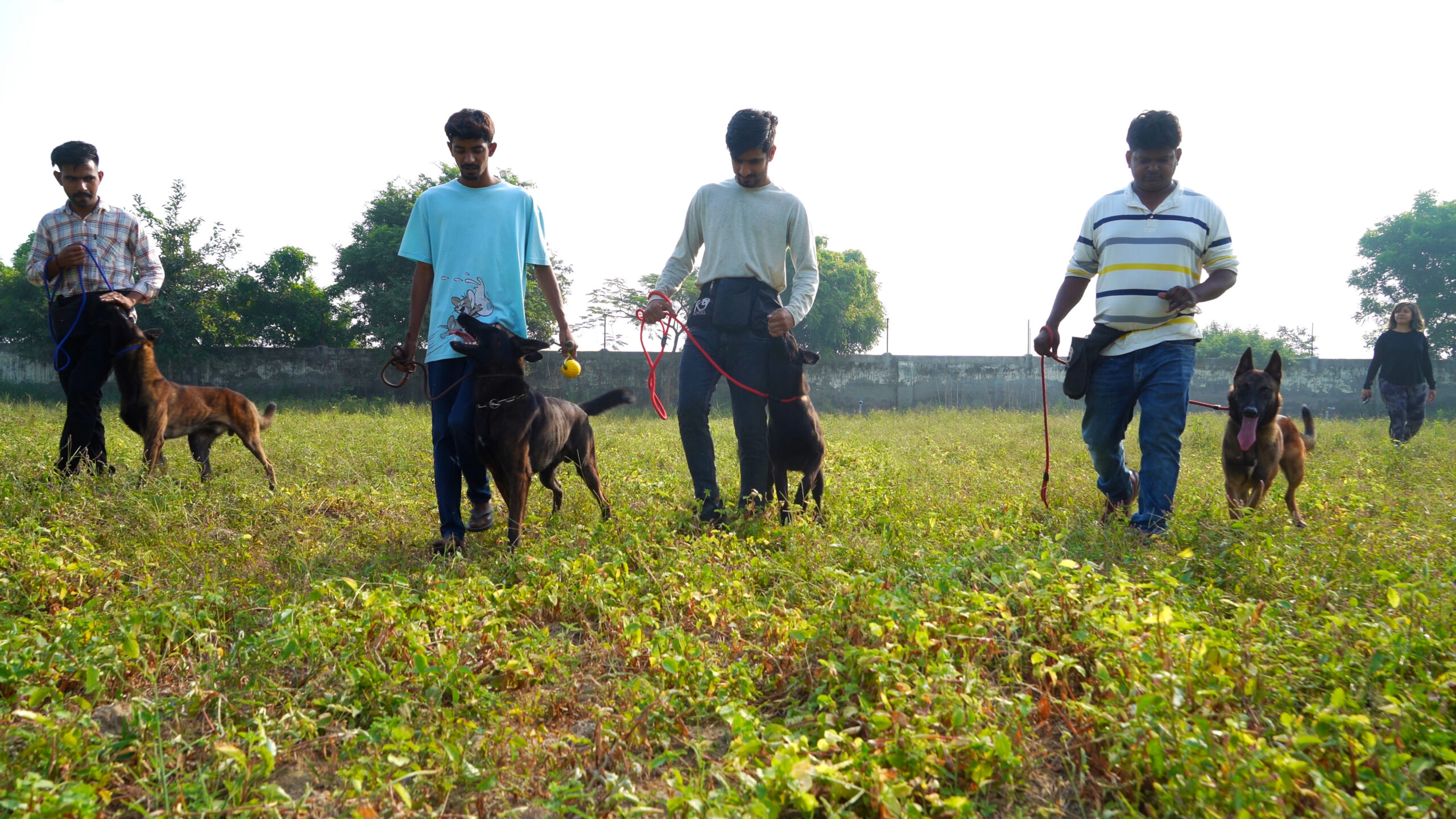 k9school.in - Image Gallery 13