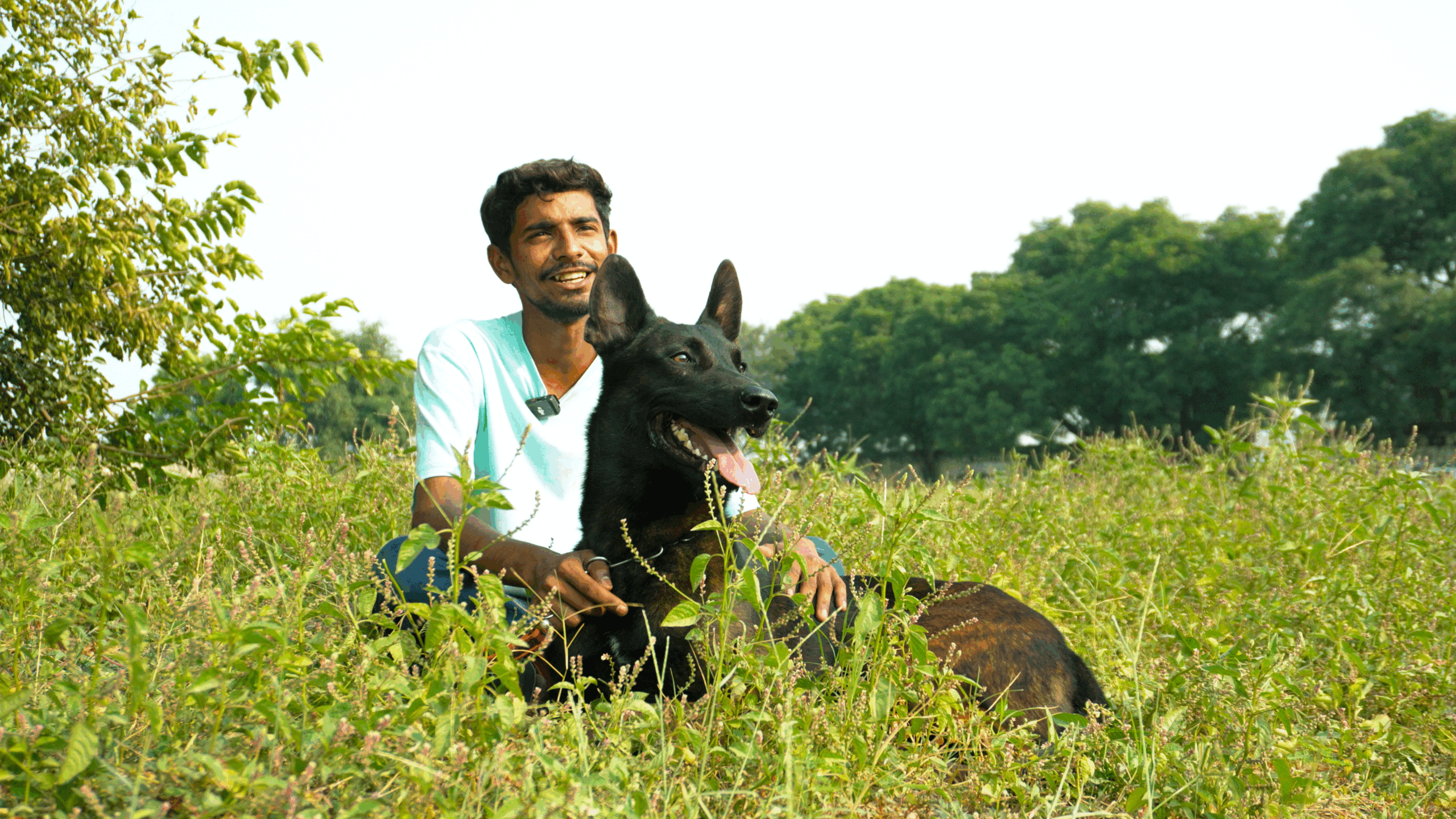 k9school.in - Image Gallery 14