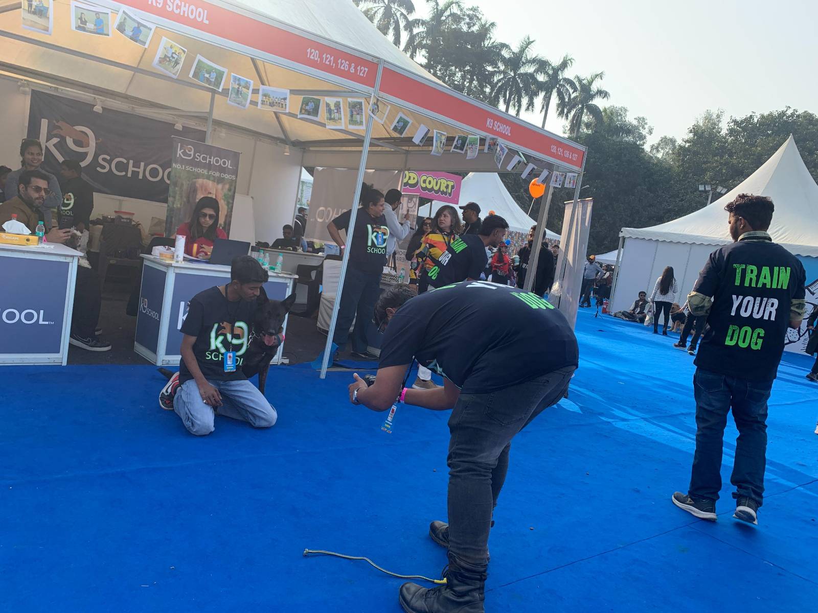 k9school.in - Image Gallery 2