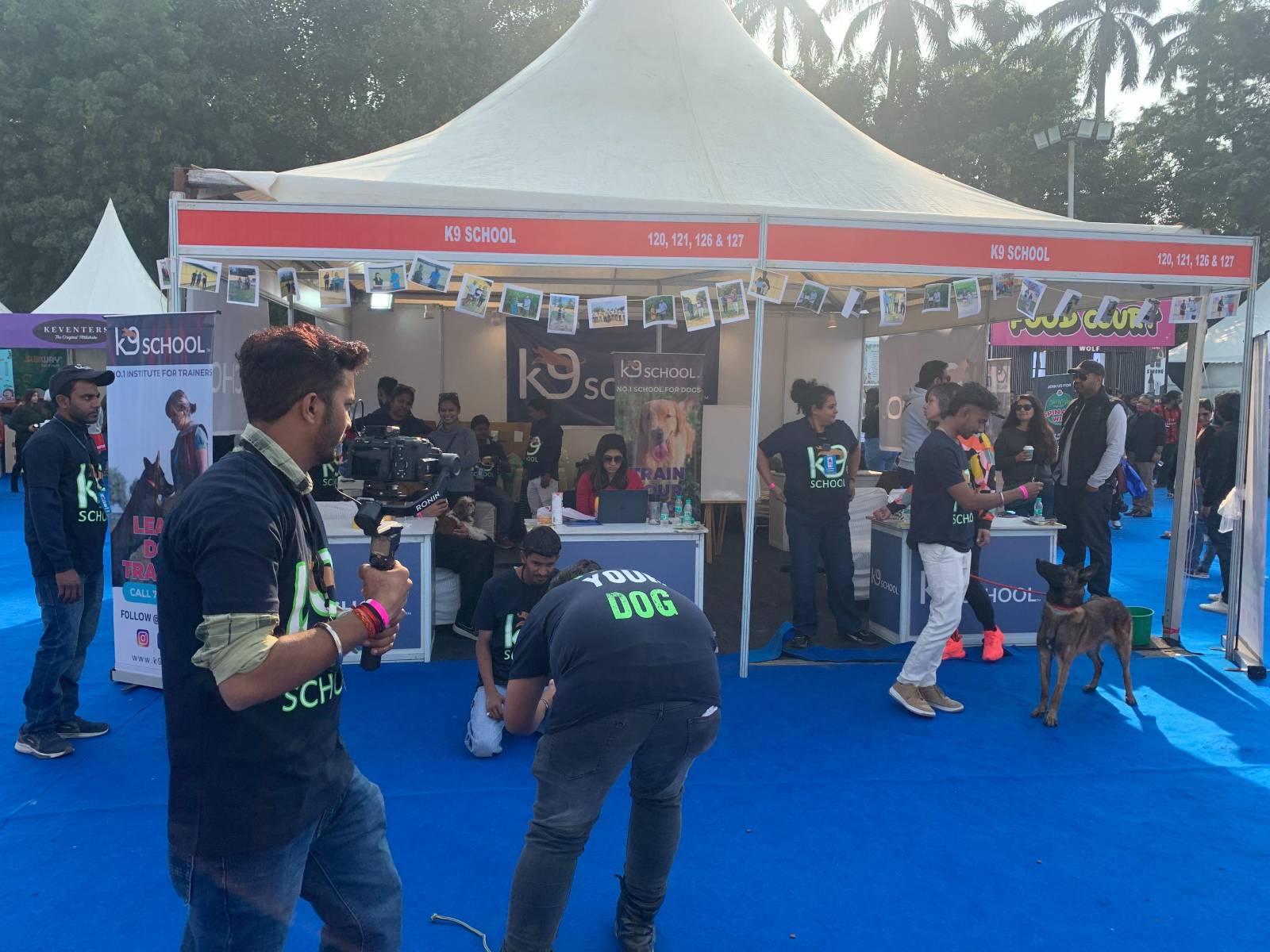 k9school.in - Image Gallery 3