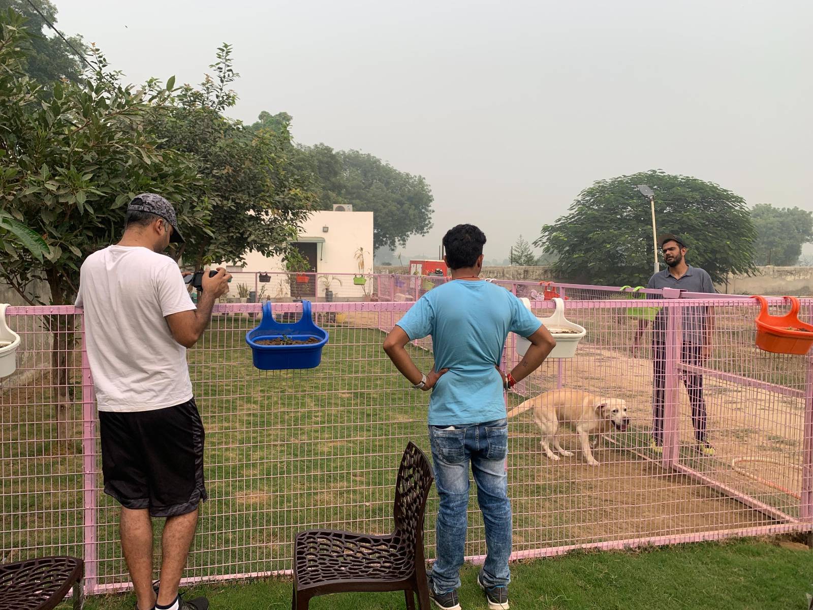 k9school.in - Image Gallery 4