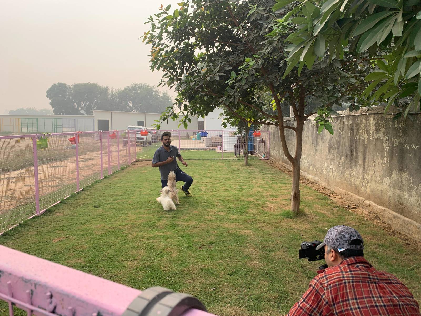 k9school.in - Image Gallery 5