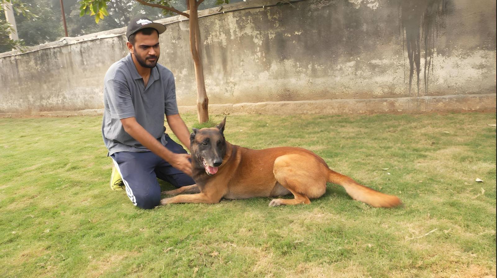 k9school.in - Image Gallery 6