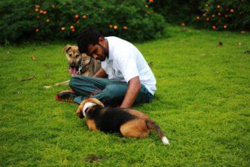 Best-Guard-Dogs-for-First-Time-Owners