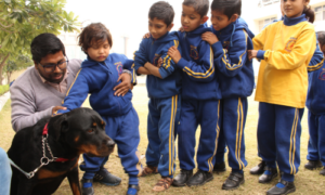 Sniffing Dogs