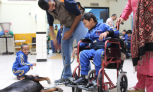 Emotional Support Dogs