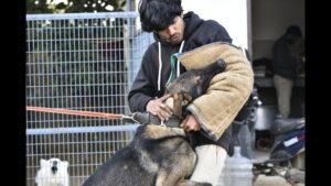 best dog for security in india