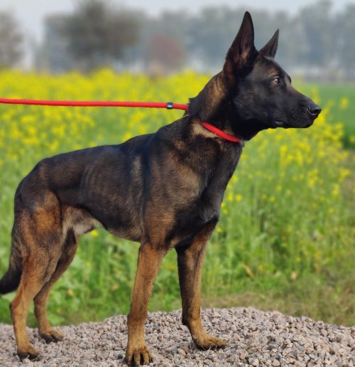 471874603_1547297389250114_5788324809586348447_n