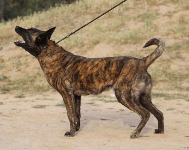 Untitled design - 2026-02-10T154457.839