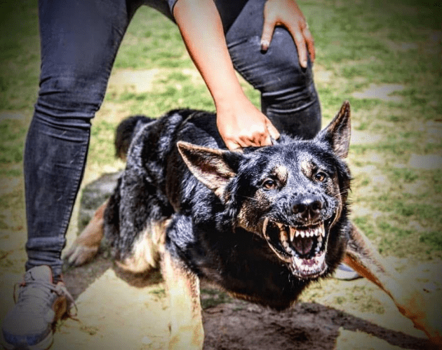 Untitled design - 2026-02-10T171343.501