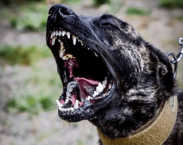 Untitled design - 2026-02-11T144834.383